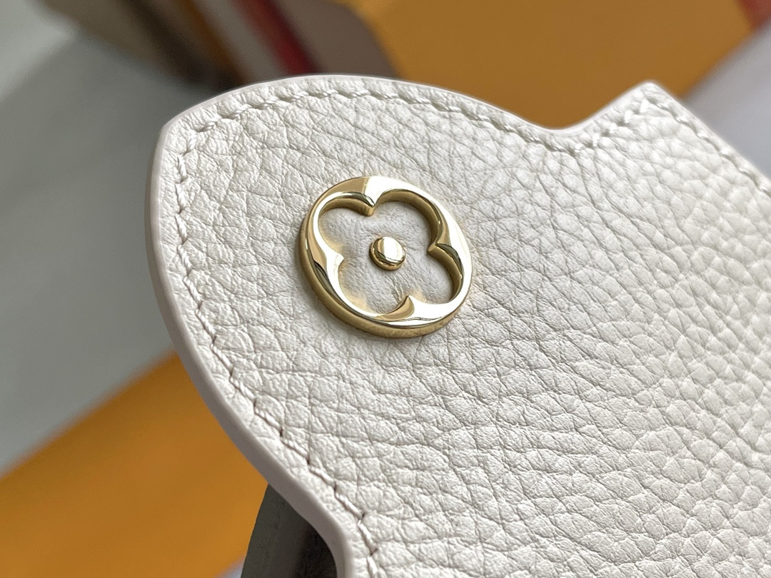 LV Capucines M20845 21x14x8cm