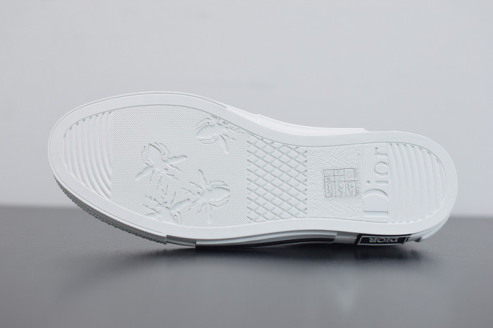 DR B23 OBLIQUE LOW TOP “CD Ghosting"