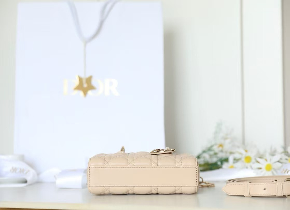 Dior Mini Lady D-Joy Bag 19x10.5x5.5cm