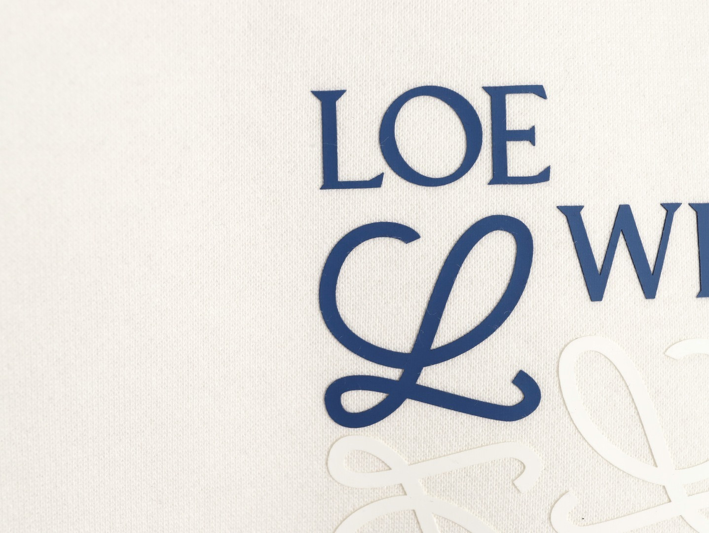 L0ew* 25FW Plush Hoodies