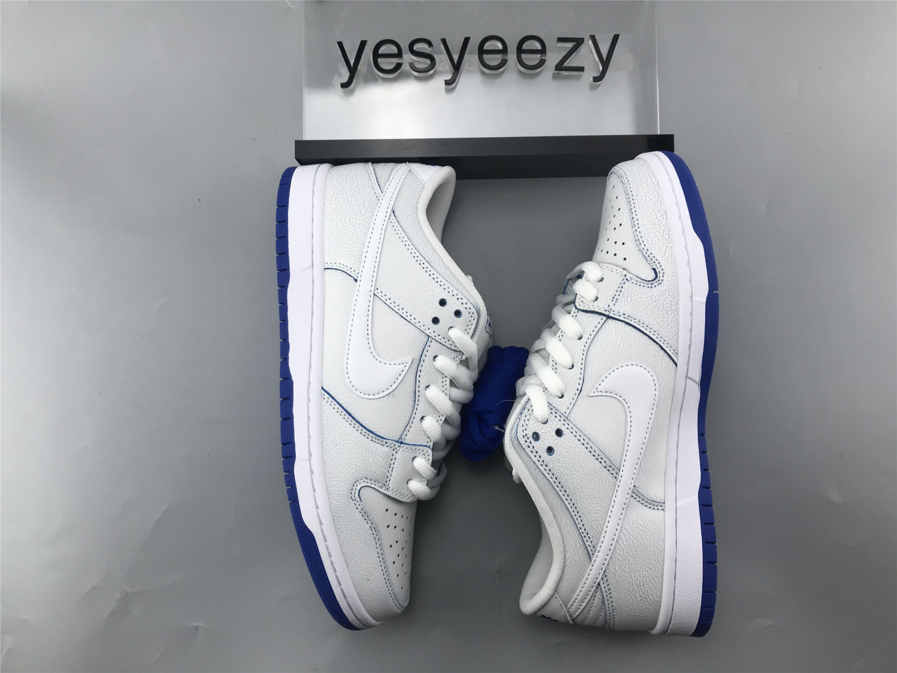 UA NIKE DUNK LOW PREMIUM SB 