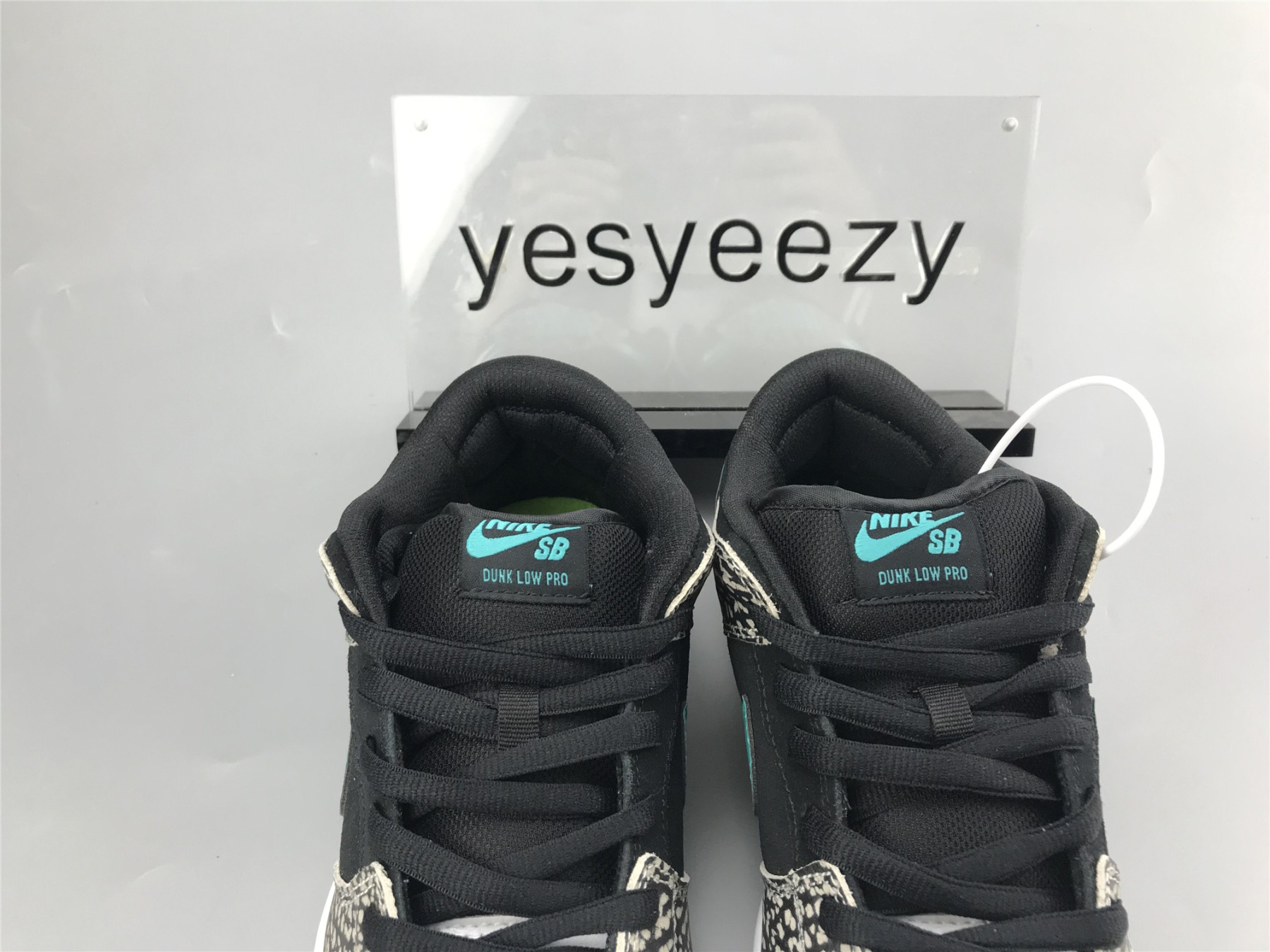 UA NIKE DUNK LOW PRO SB 