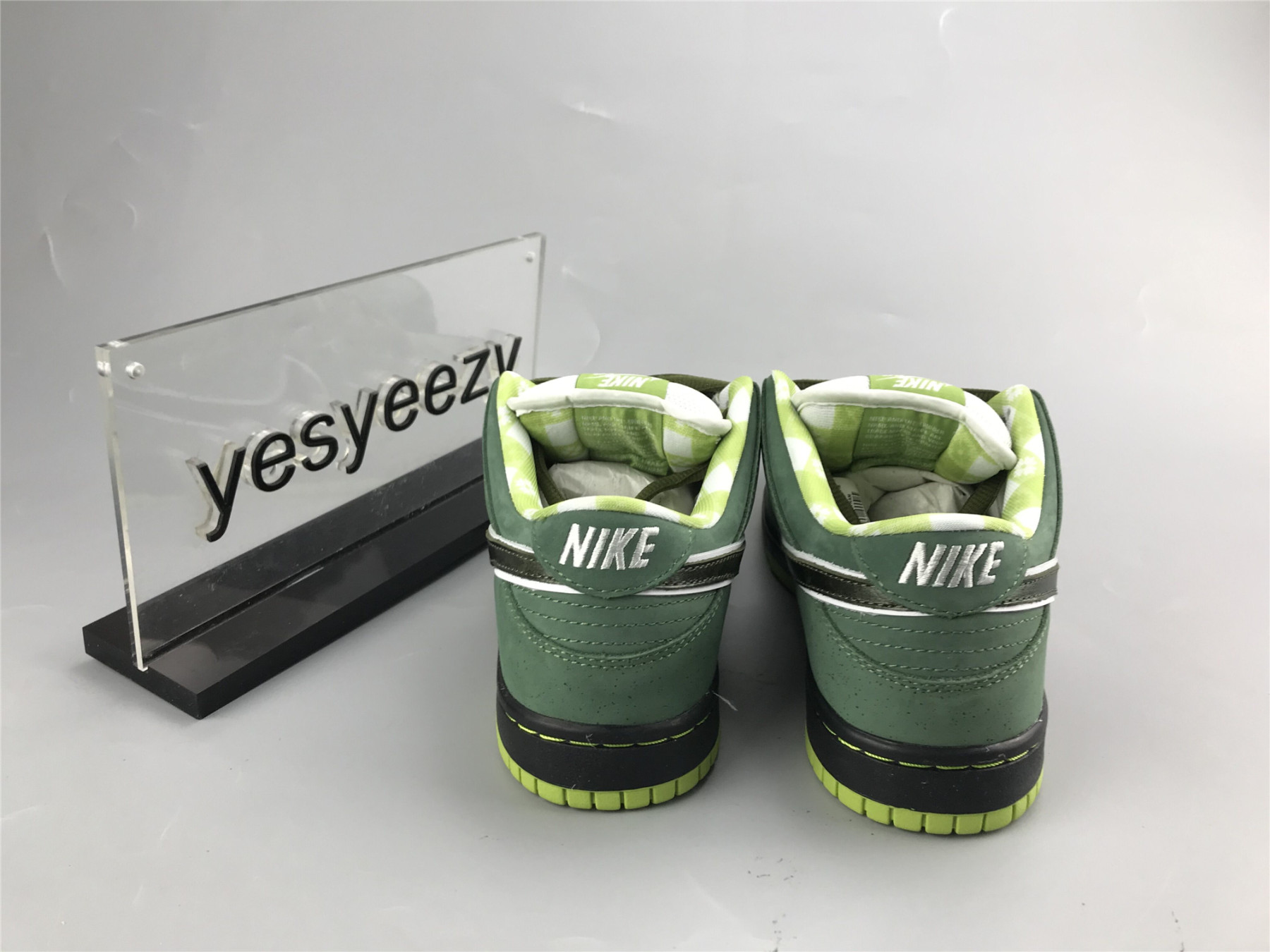 UA NIKE CONCEPTS X DUNK LOW SB 