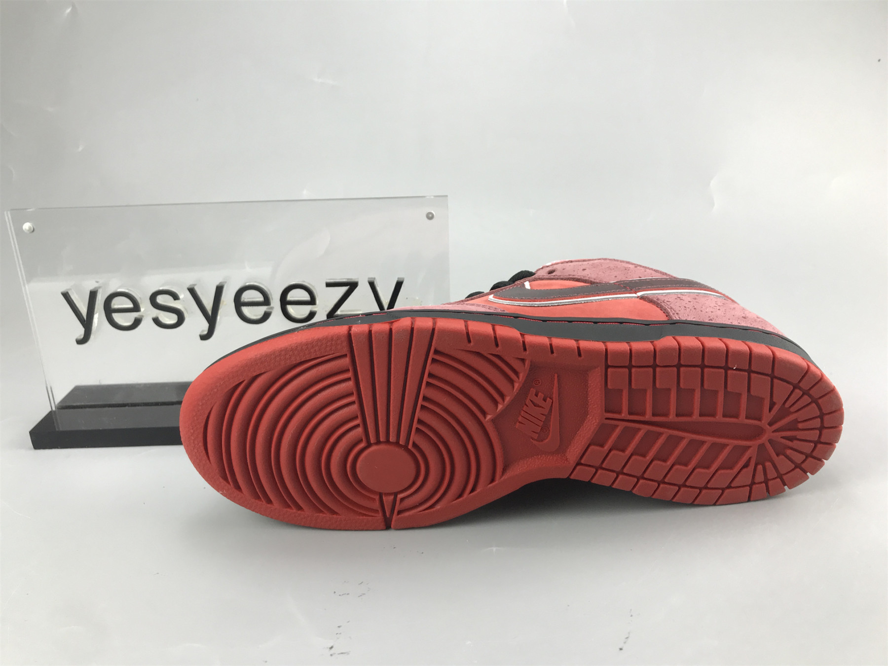 UA NIKE DUNK LOW PREMIUM SB 