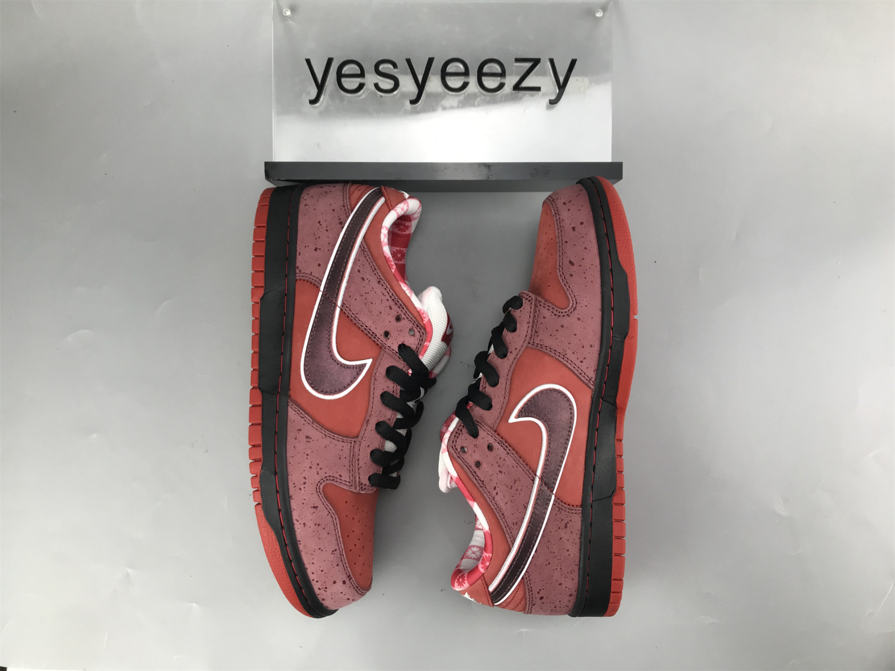 UA NIKE DUNK LOW PREMIUM SB 