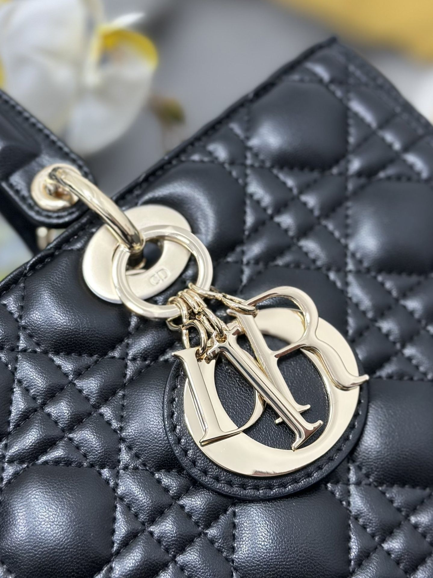 D10r Lady Bag 32 x 25 x 11cm