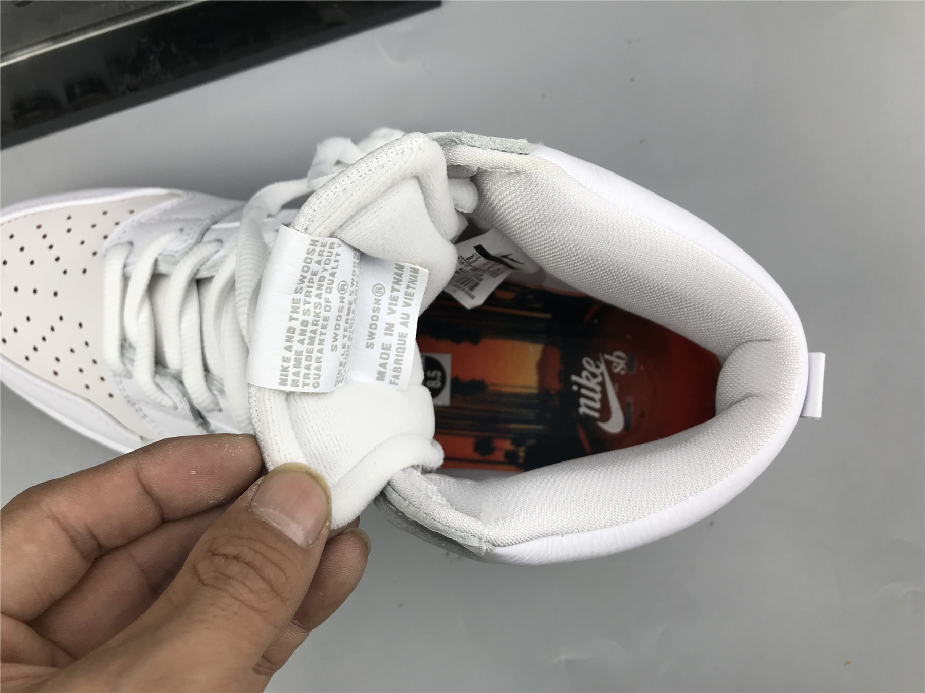 UA NIKE KEVIN BRADLEY X SB ZOOM DUNK HIGH PRO 