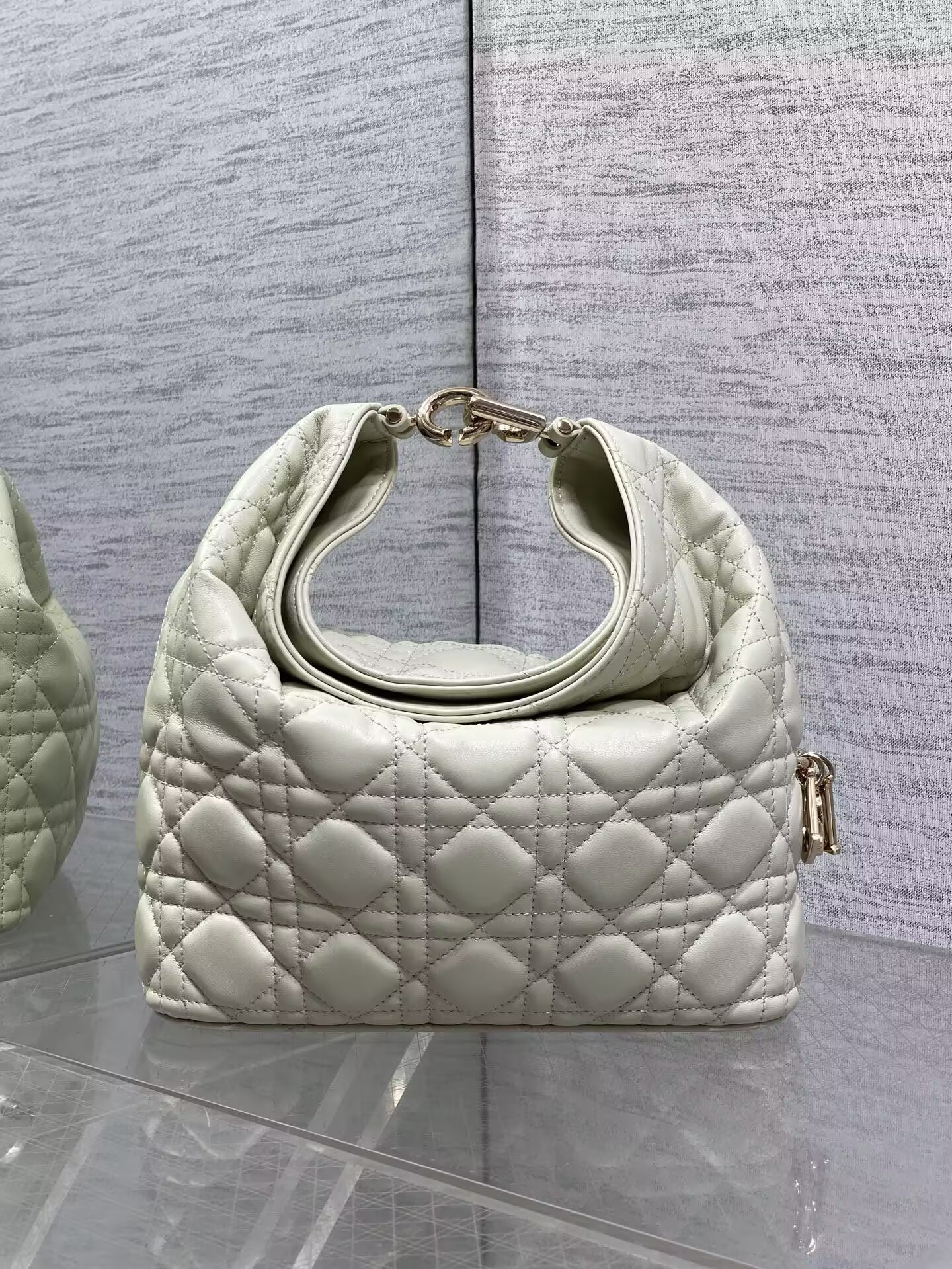 D10r Small Toujours Hobo Handbag 22.5 x 14 x 7.5 cm