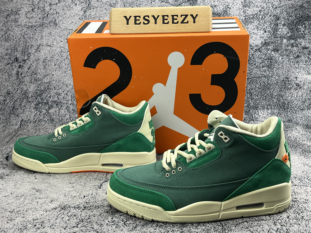 UA NINA Ch**el ABNEY X AIR JORDAN 3