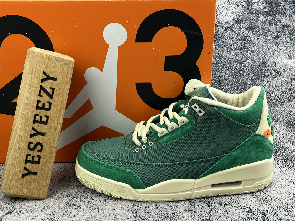 UA NINA Ch**el ABNEY X AIR JORDAN 3