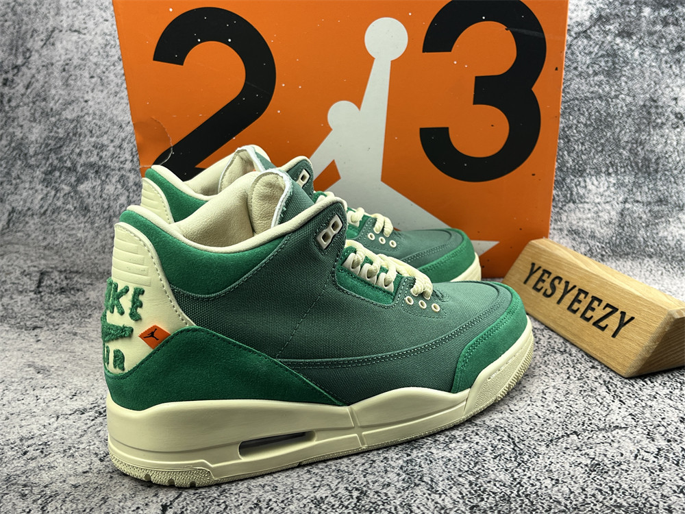 UA NINA Ch**el ABNEY X AIR JORDAN 3