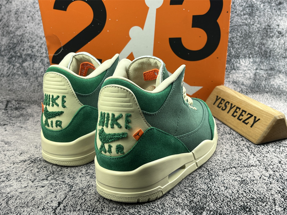 UA NINA Ch**el ABNEY X AIR JORDAN 3