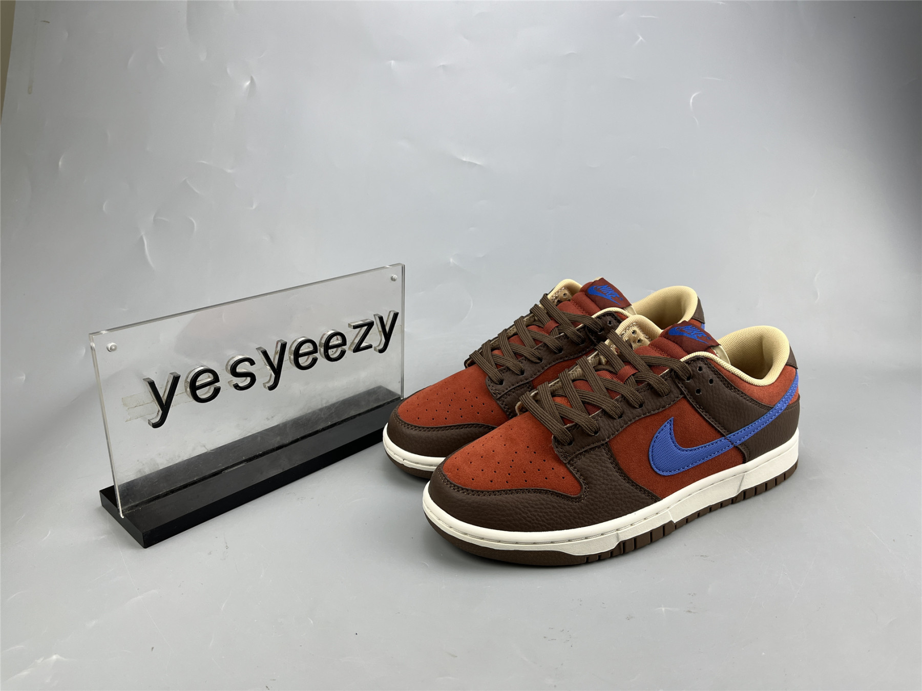 UA NIKE DUNK LOW PREMIUM 