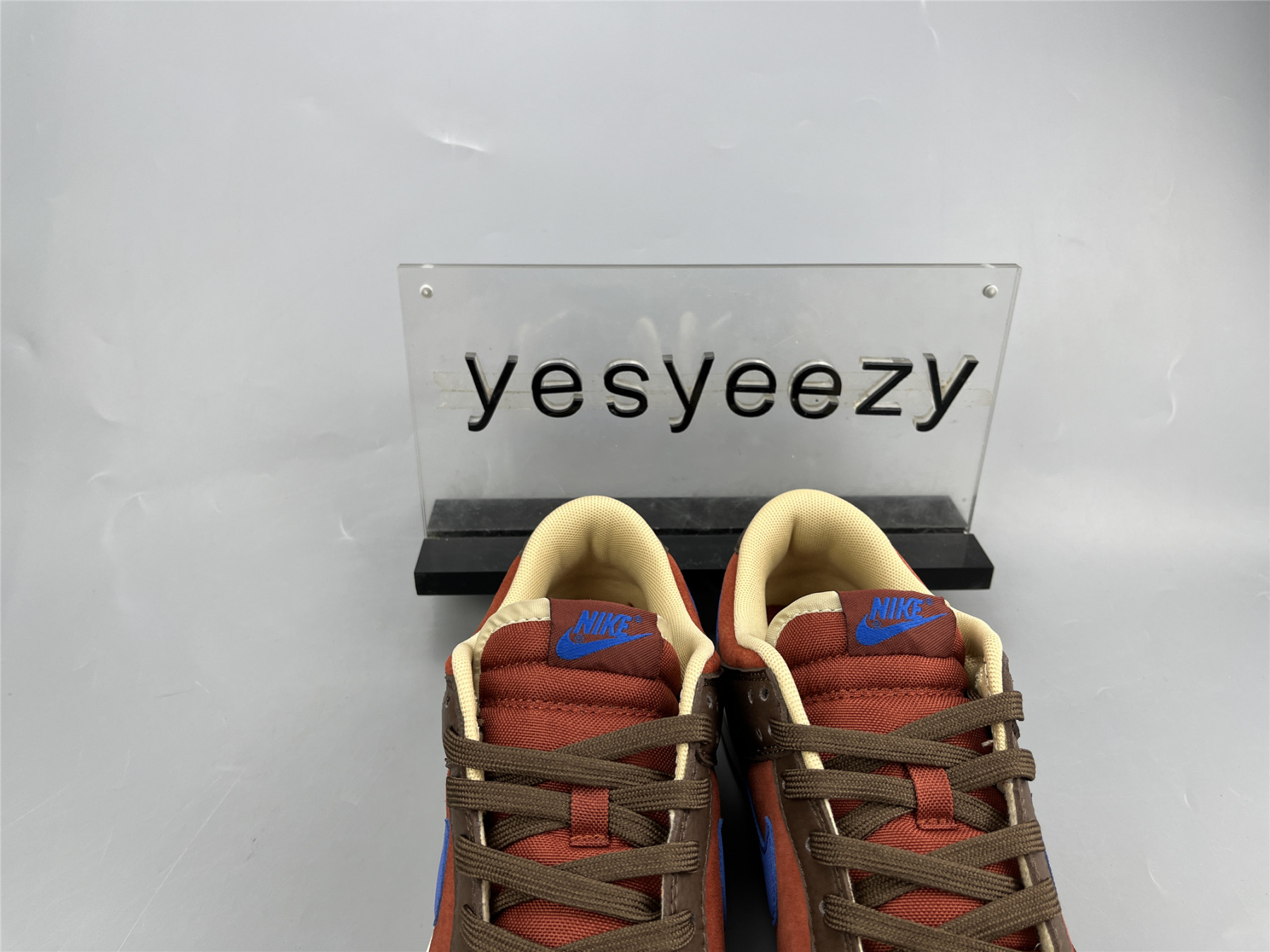 UA NIKE DUNK LOW PREMIUM 