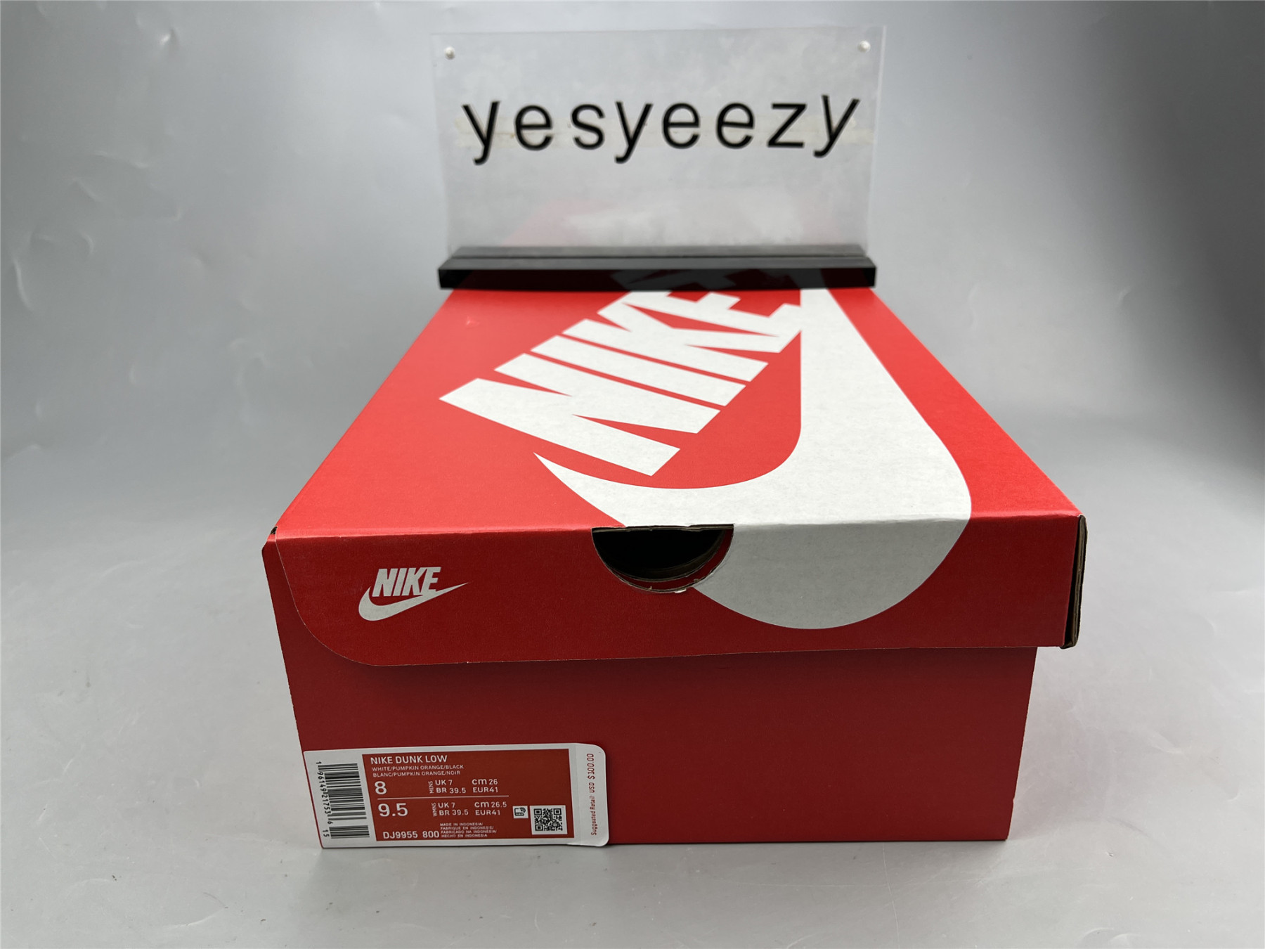 UA NIKE WMNS DUNK LOW 