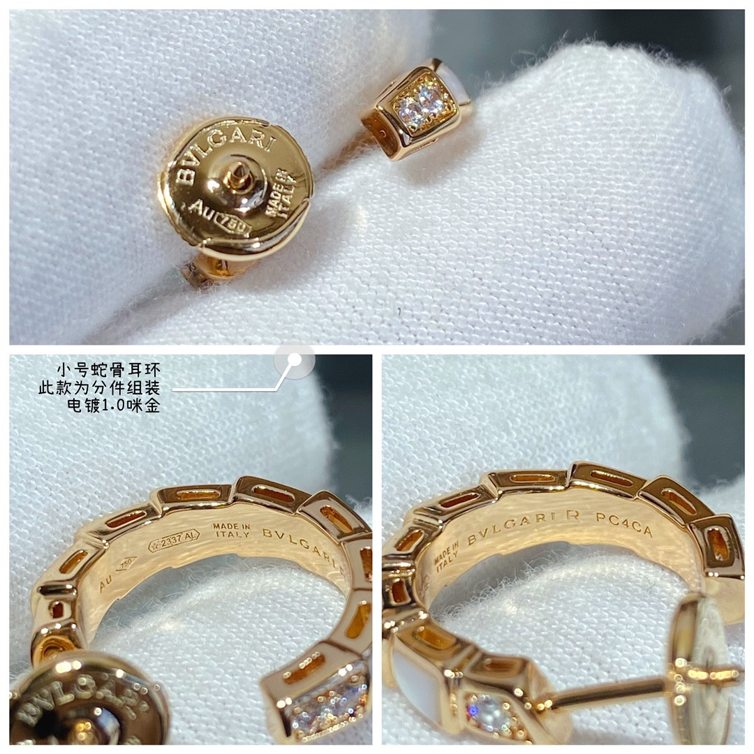 Bv1g*ai small Snake bone Earrings