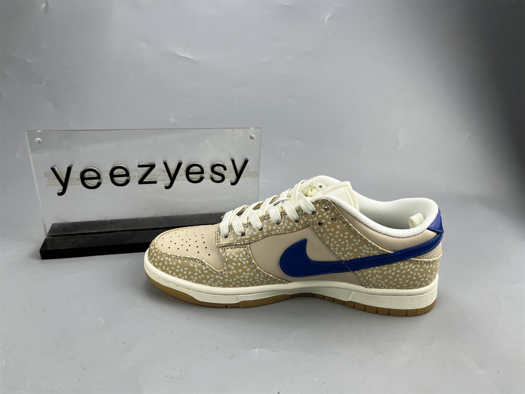 UA NIKE DUNK LOW PREMIUM 