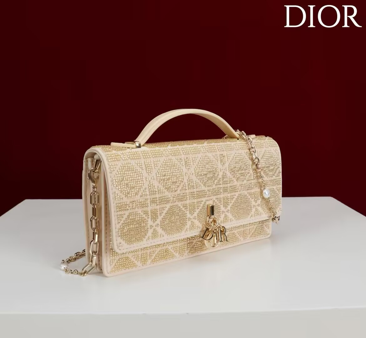 D10r Or My D10r Mini Bag 21 x 11.5 x 4.5 cm