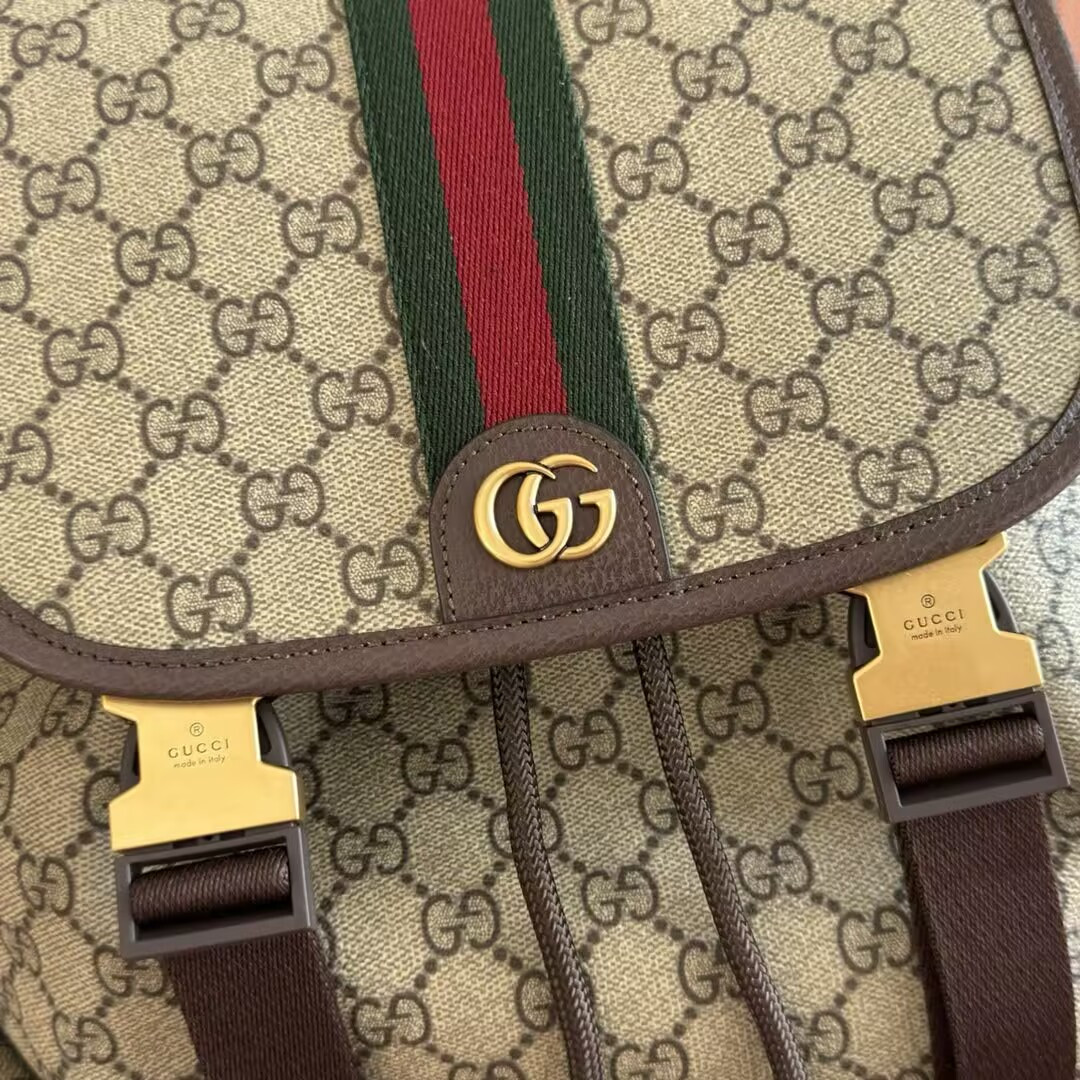 Gvc*1 ophidia large backpack 35x46x12cm