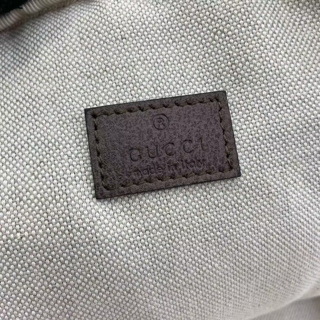 Gvc*1 OPHIDIA 19x26x4.5cm