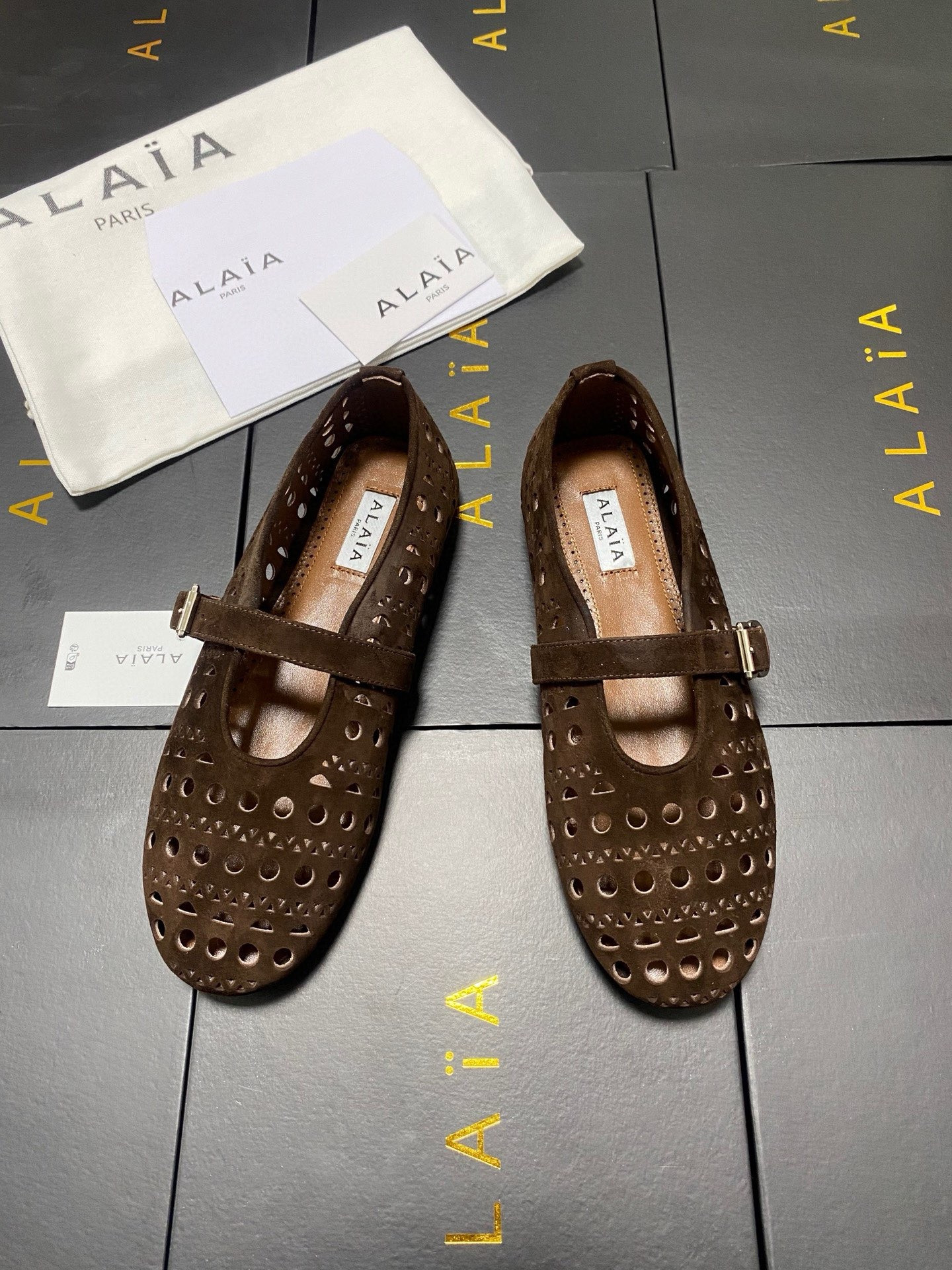 UA ALAÏA Vienne BALLET FLATS
