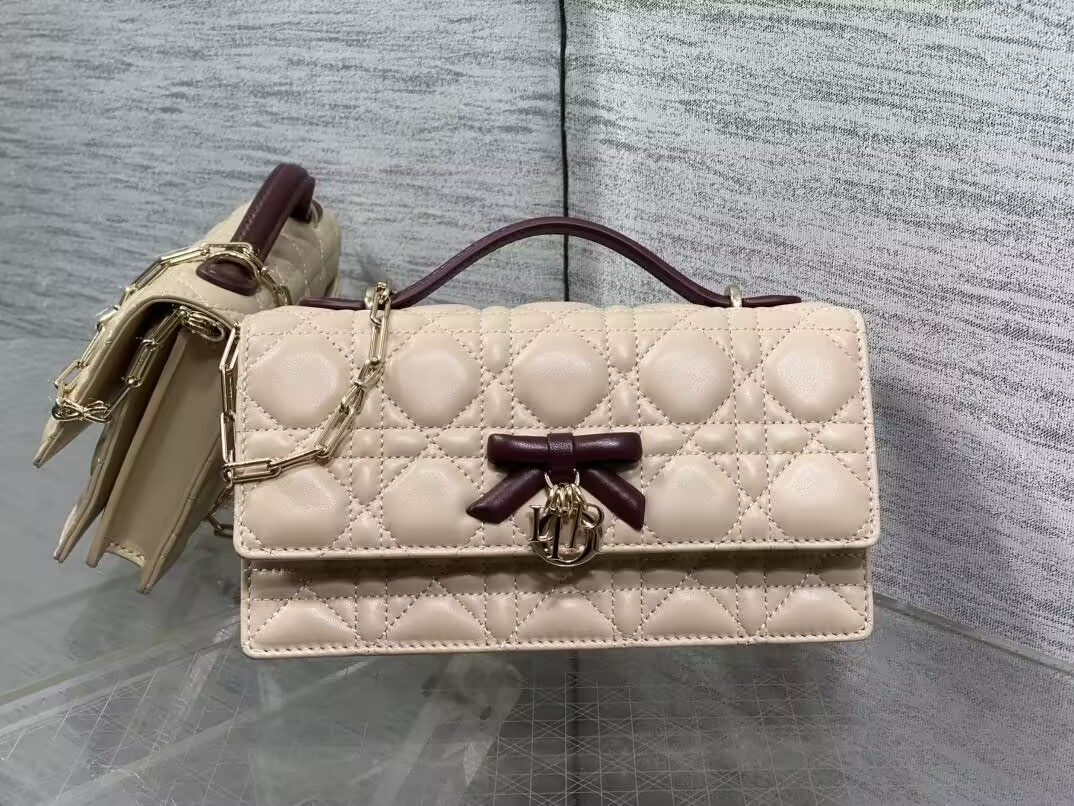 My D10r Mini Bag 21x11.5x4.5cm