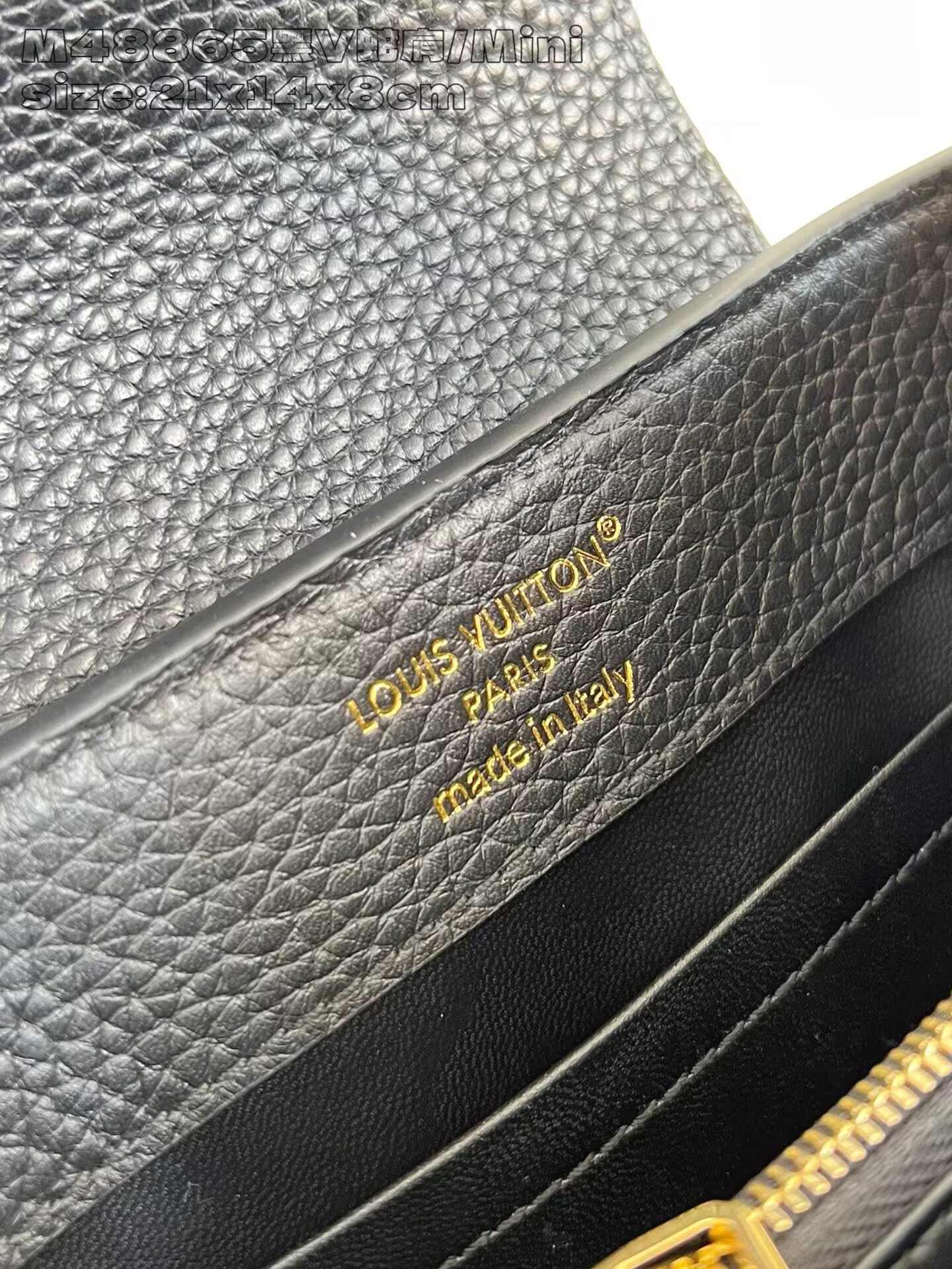 LV Capucines Mini M48865 21x14x8cm