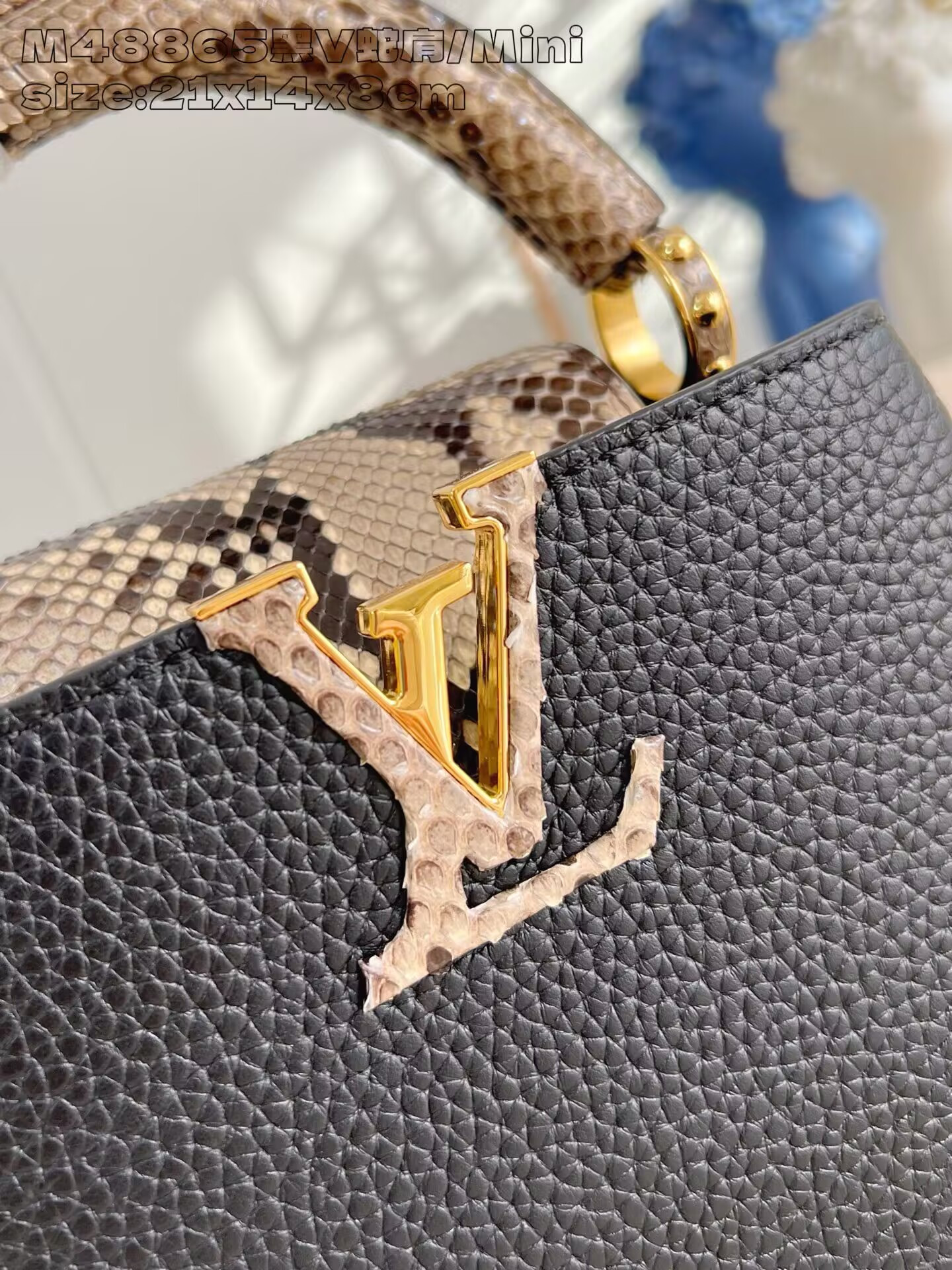 LV Capucines Mini M48865 21x14x8cm