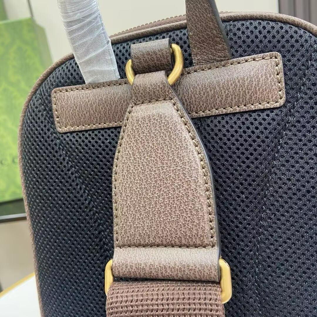 Gvc*1 OPHIDIA 19x26x4.5cm