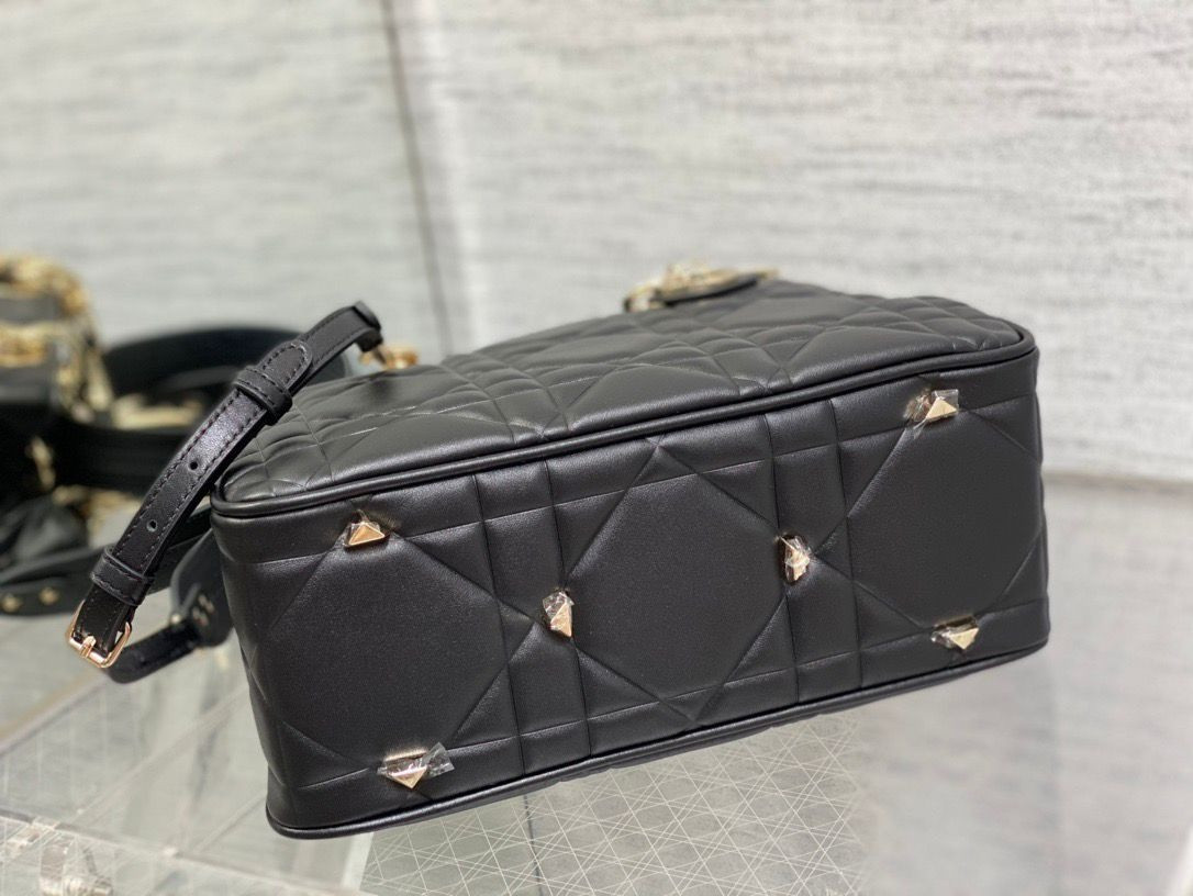 D10r Lady Handbag 24x18x10cm