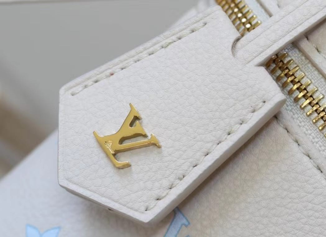 LV VANITY CHAIN ​​POUCH Handbag M27744 11.5x6.5x19cm