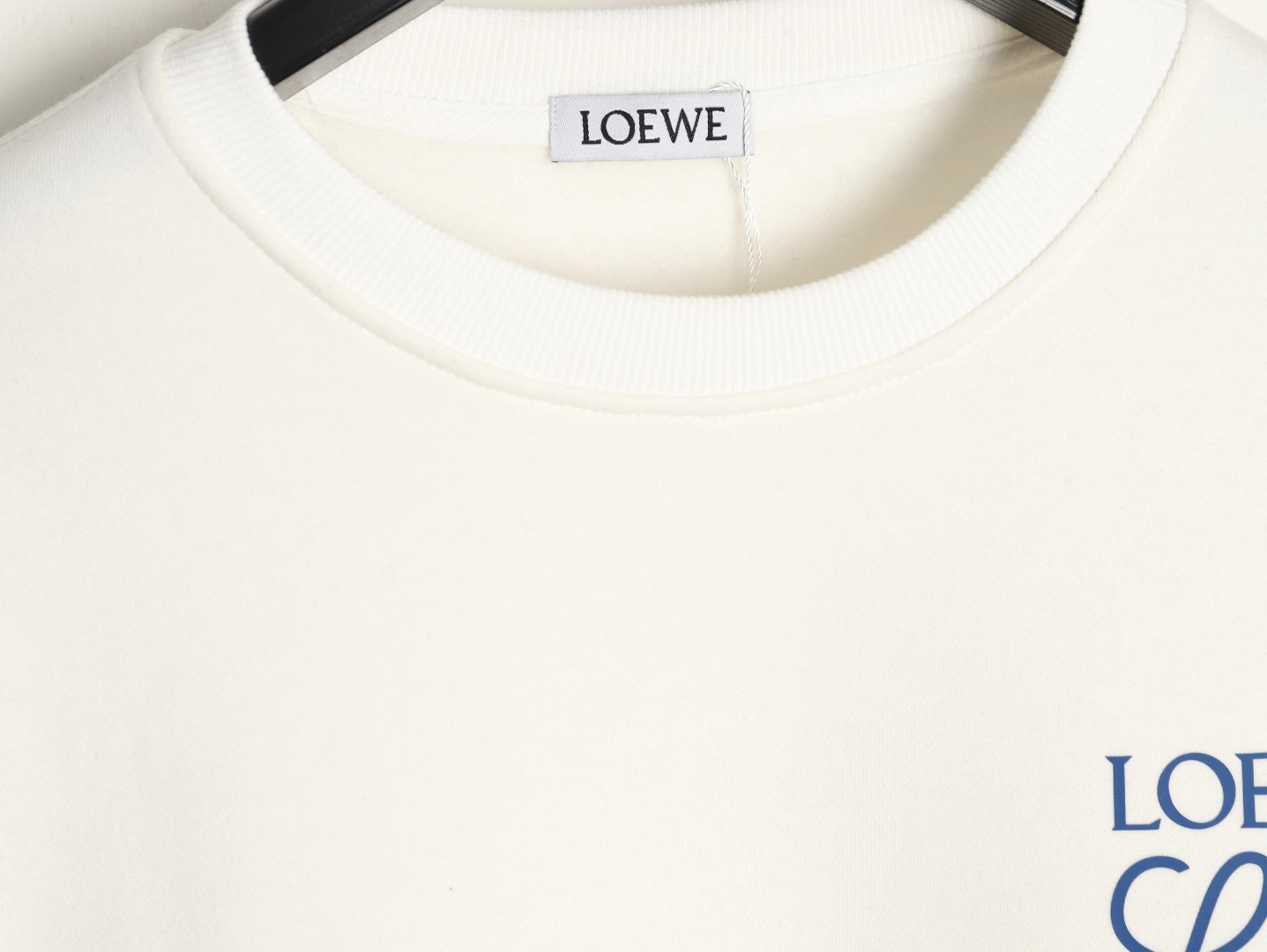 L0ew* 25FW Plush Hoodies