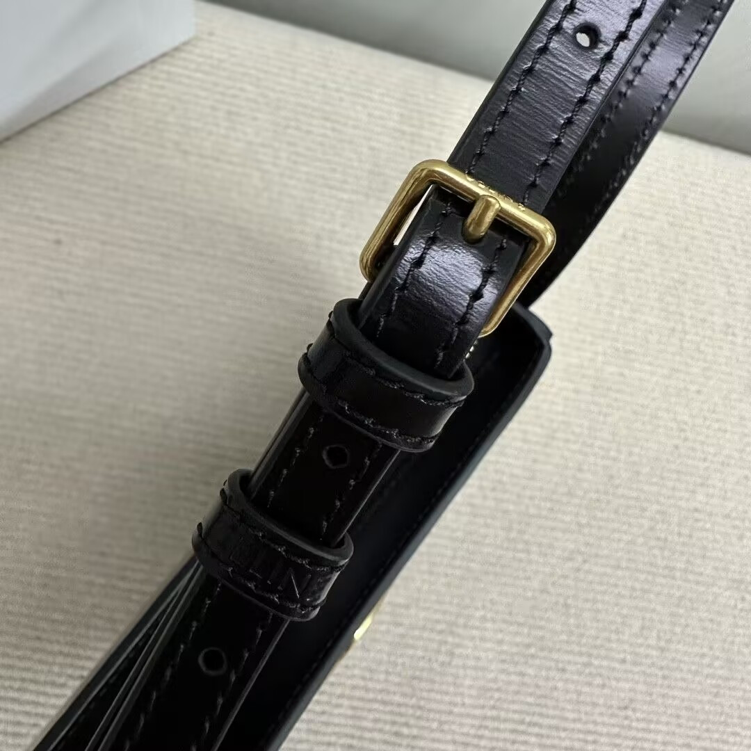 Ce1i*e MEDIUM TILLY BAG in shiny calfskin 22x13.5x4cm