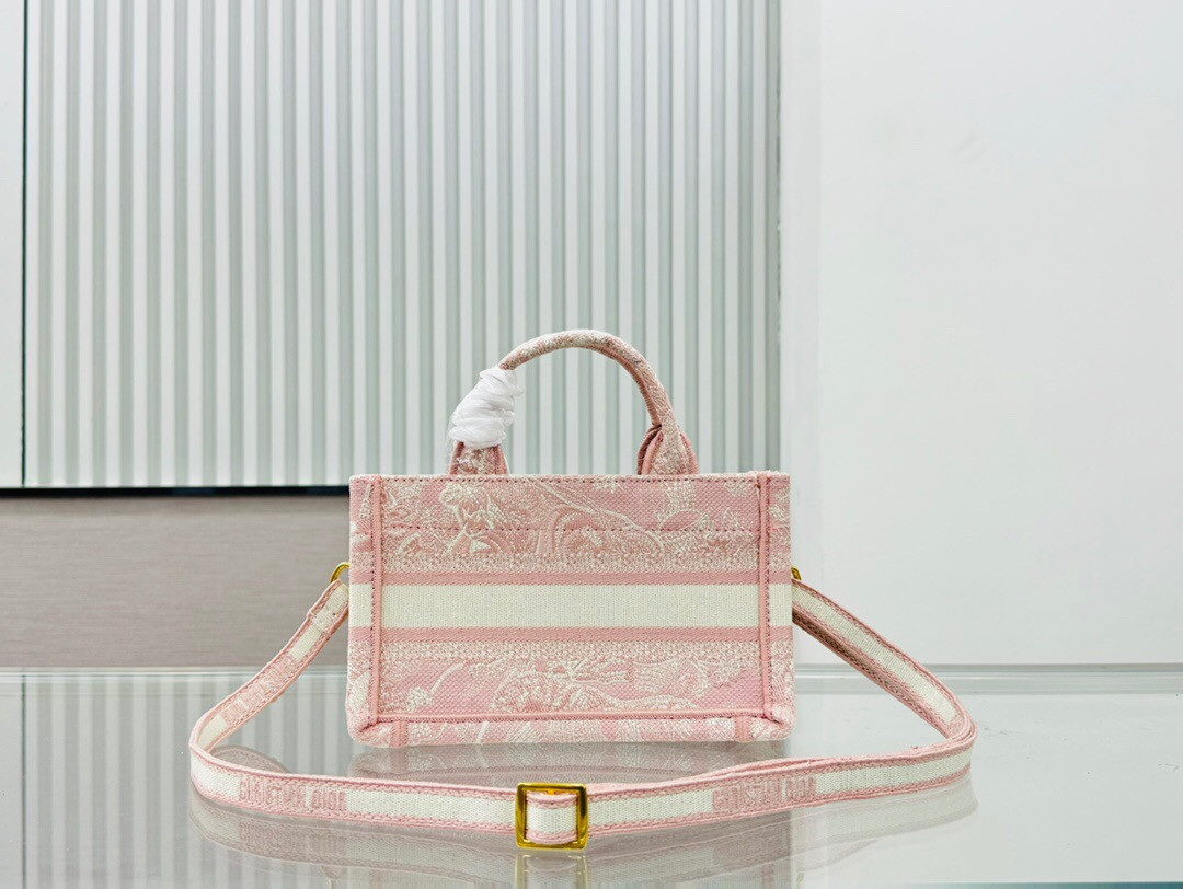 D10r book tote 24SS  21.5×13×7.5cm