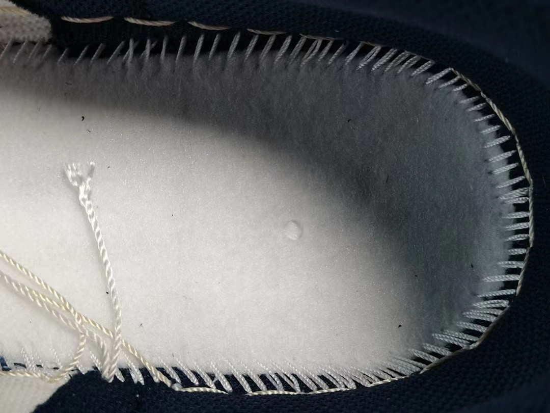 UA NIKE WMNS DUNK LOW 