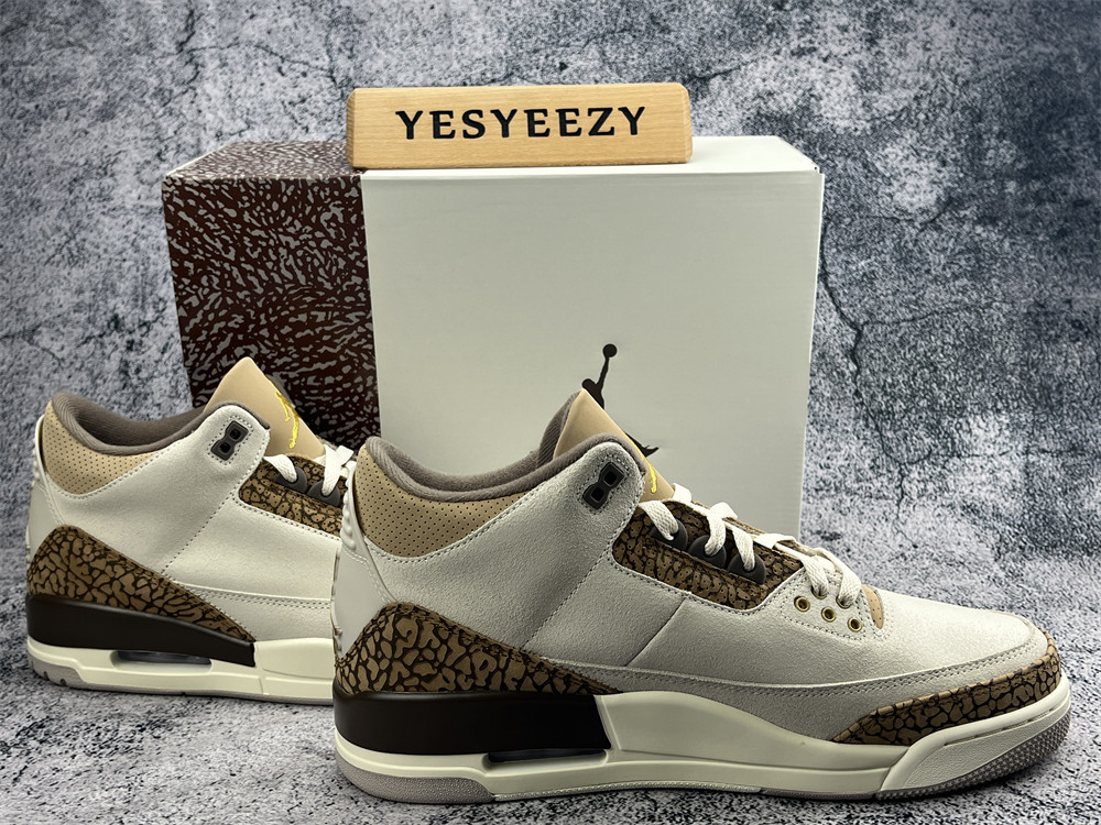 UA AIR JORDAN 3 RETRO