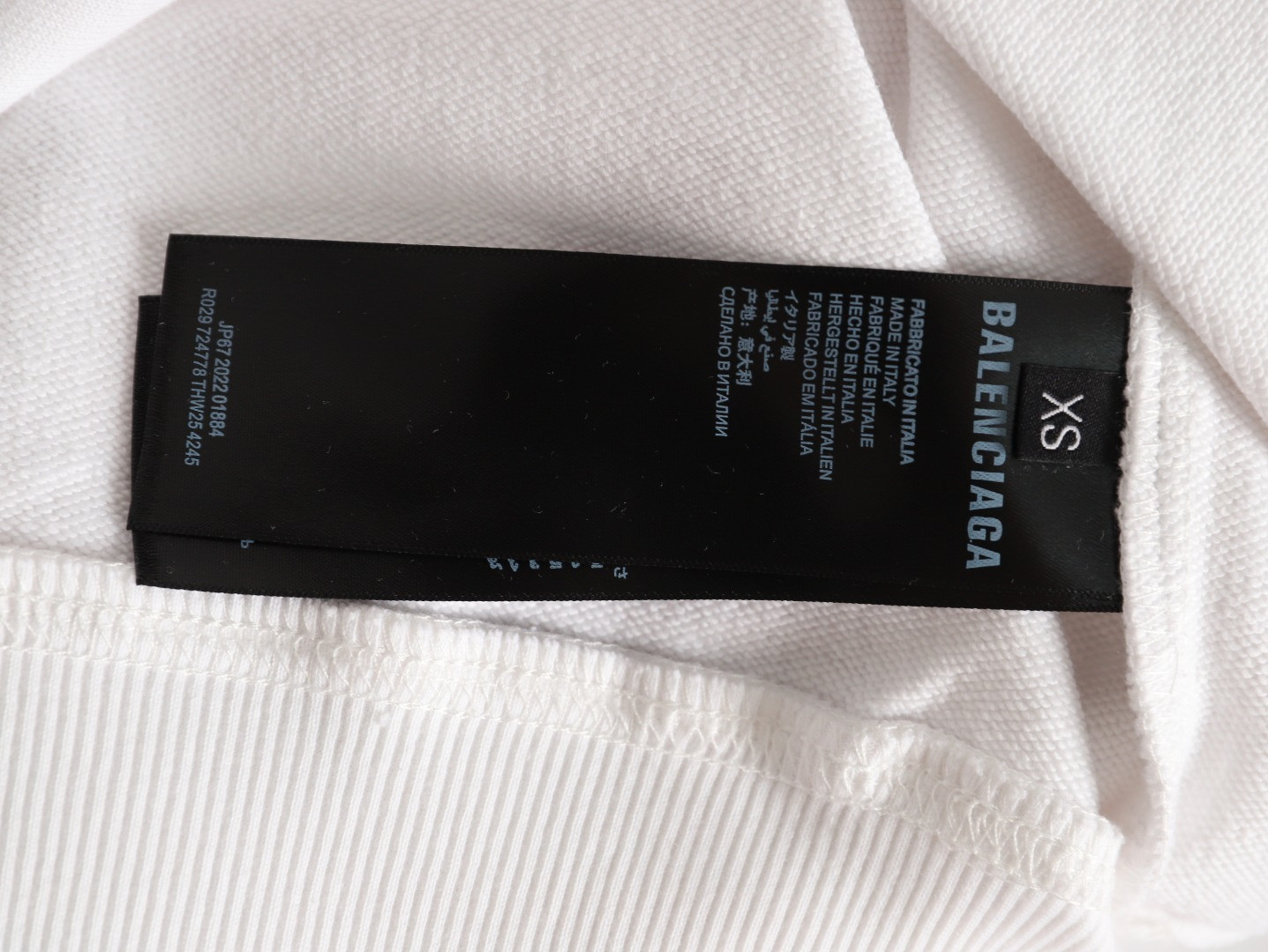 Ba1en*iaga 25FW Hoodies