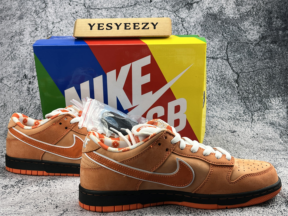 UA NIKE CONCEPTS X DUNK LOW SB 