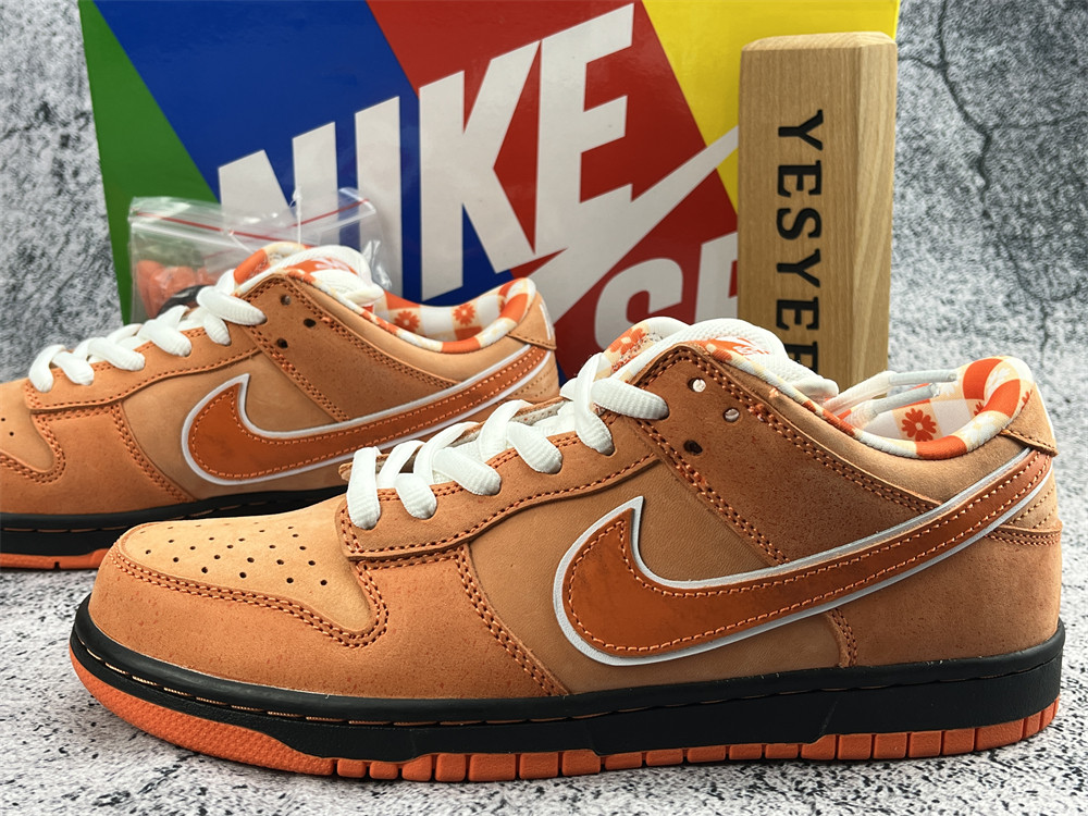 UA NIKE CONCEPTS X DUNK LOW SB 