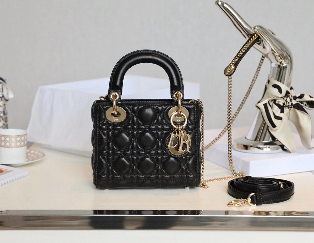 Mini Lady D10r Bag 17cm  6.5 x 6 x 3 inches