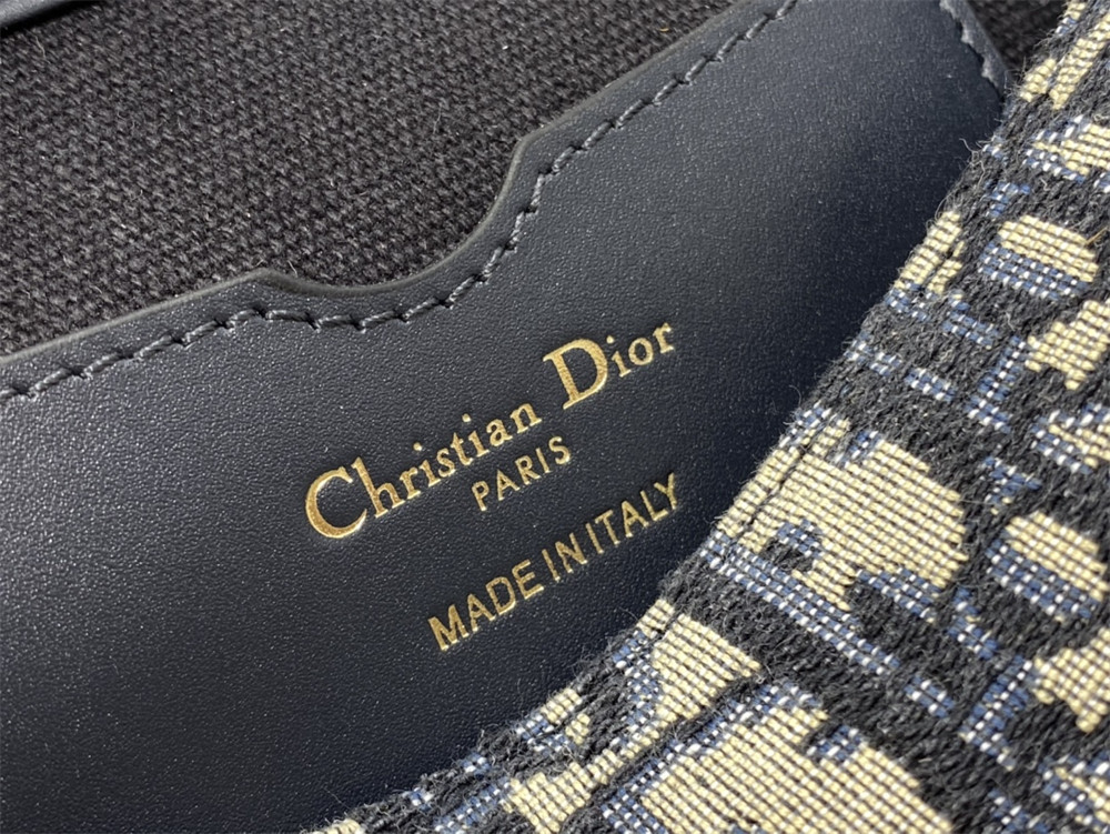 D10r BOBBY EAST-WEST BAG classic monogram pattern