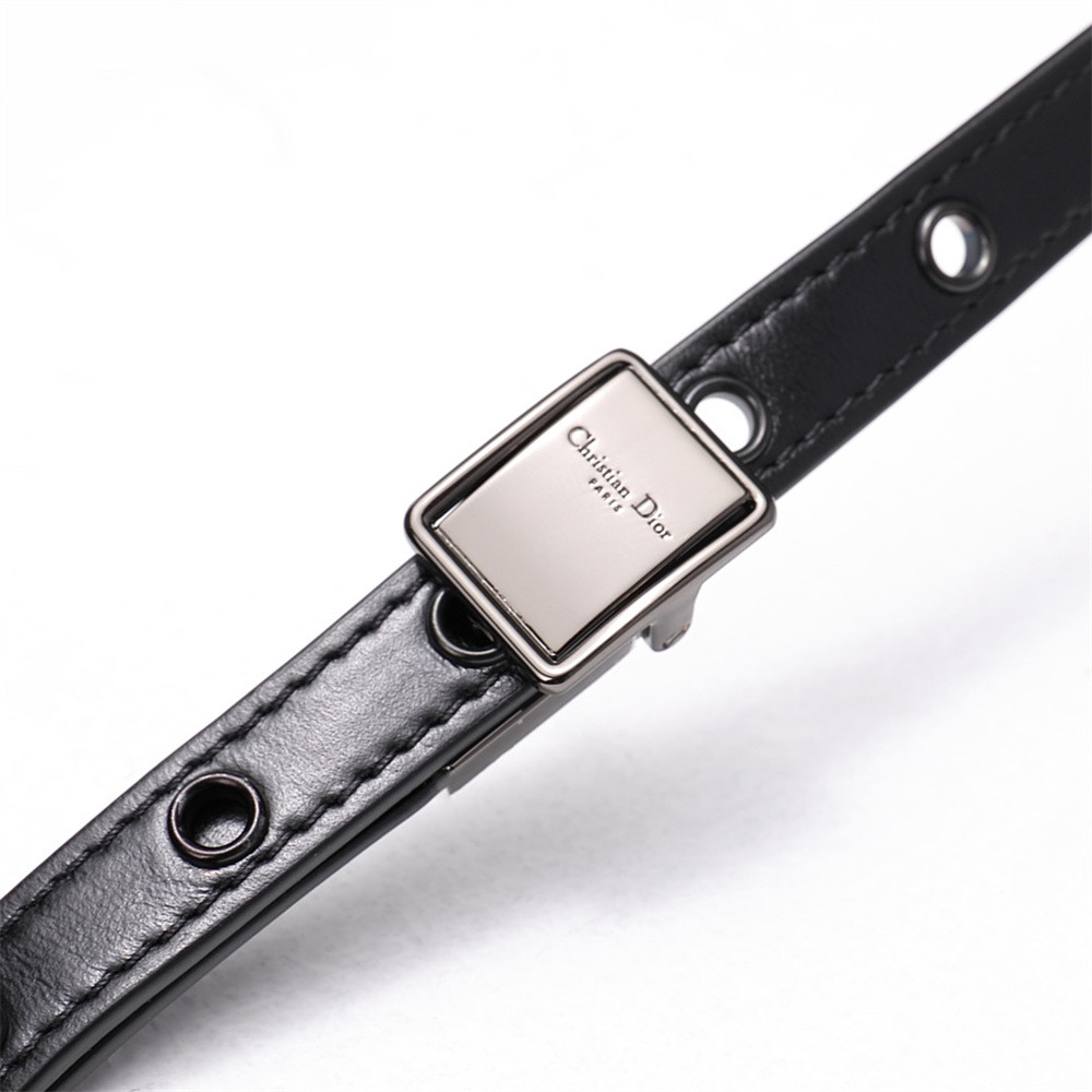 MEDIUM D10r CARO BAG Black S*pple Cannage Calfskin With Silver Hardware 20x12x7cm