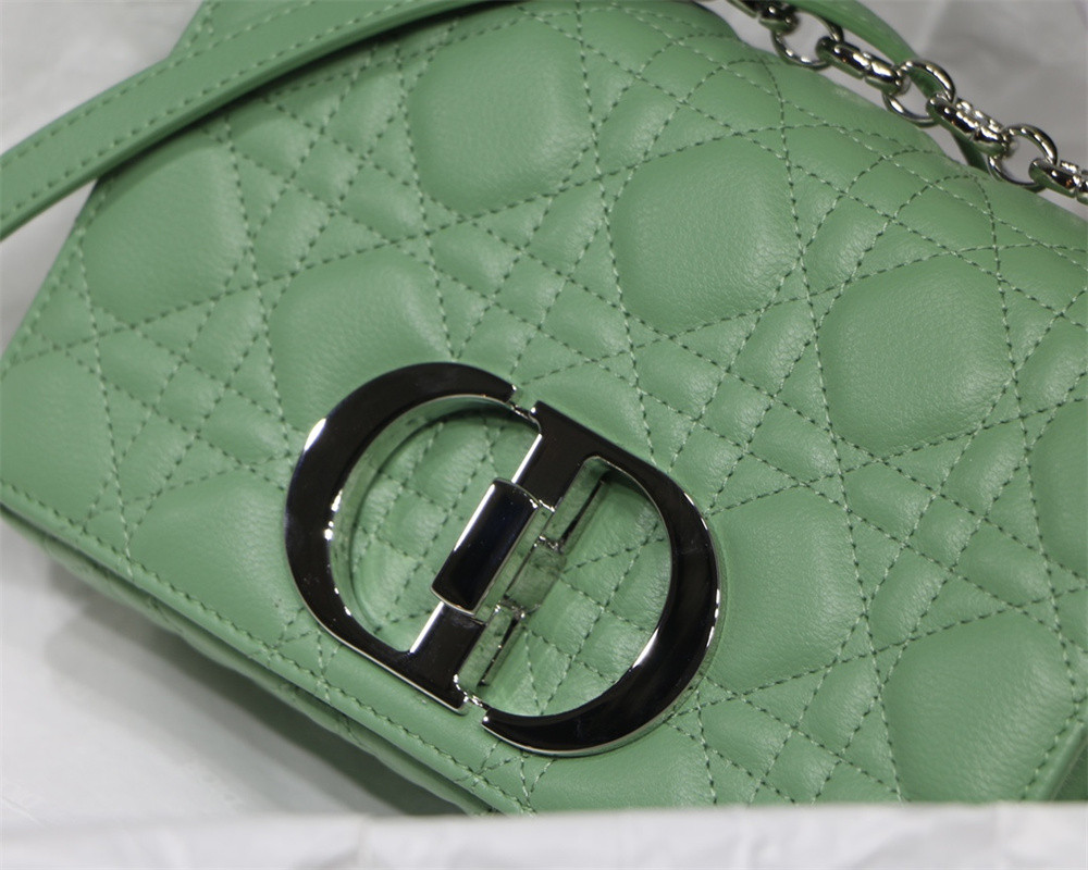 SMALL D10r CARO BAG gREEN S*pple Cannage Calfskin With Silver Hardware 20 x 12 x 7 cm