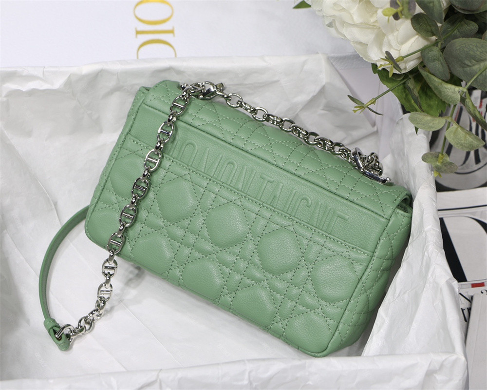 SMALL D10r CARO BAG gREEN S*pple Cannage Calfskin With Silver Hardware 20 x 12 x 7 cm