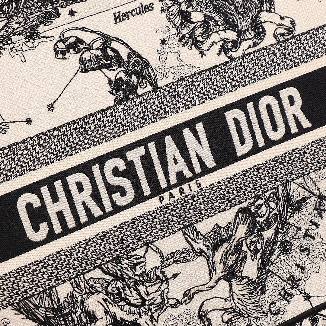 Medium D10r Book Tote De Jouy Zodiac 14 x 11 x 6.5 inches