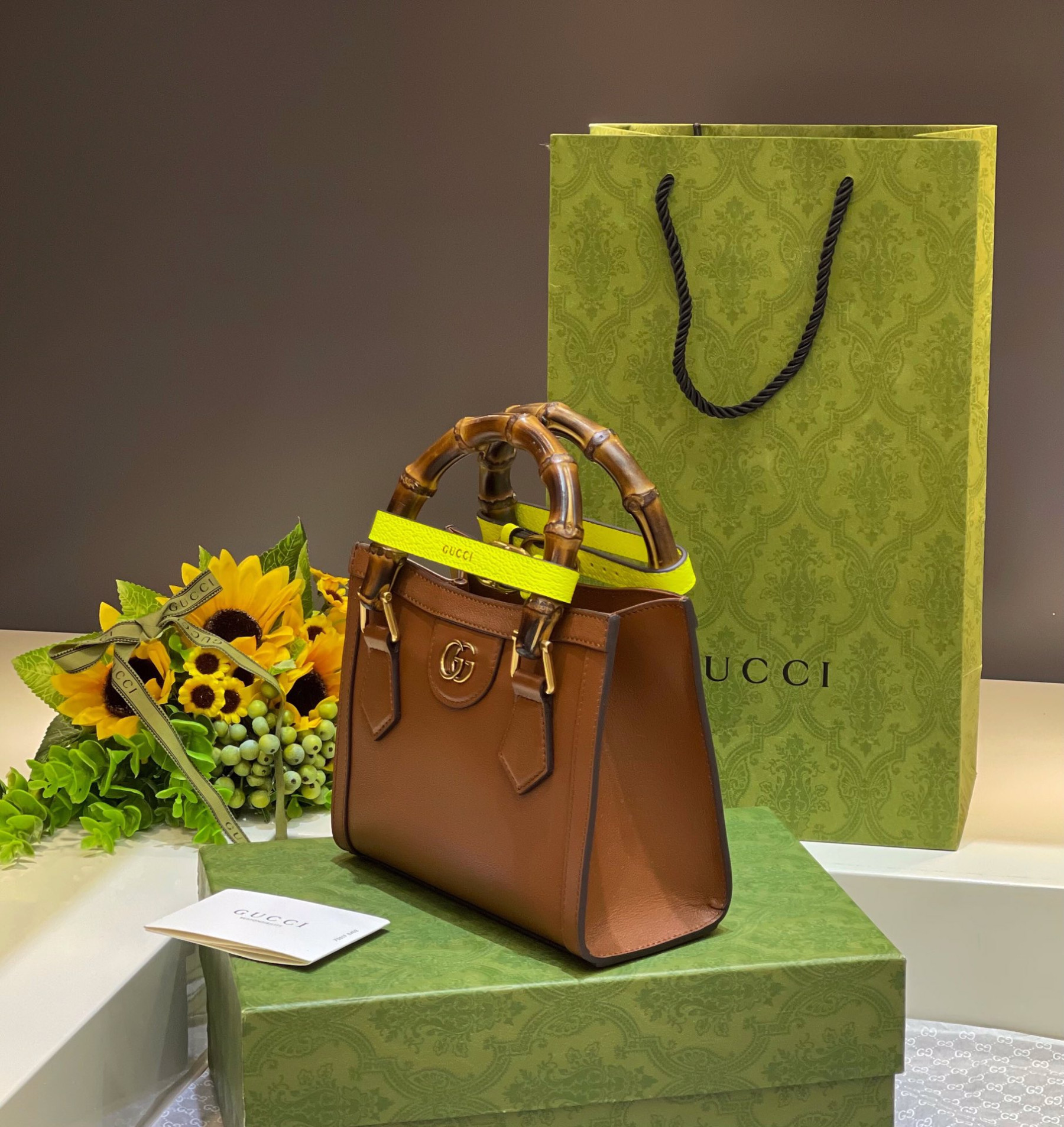 Gvc*1 DIANA MINI TOTE BAG Brown 20W x 16H x 10D CM