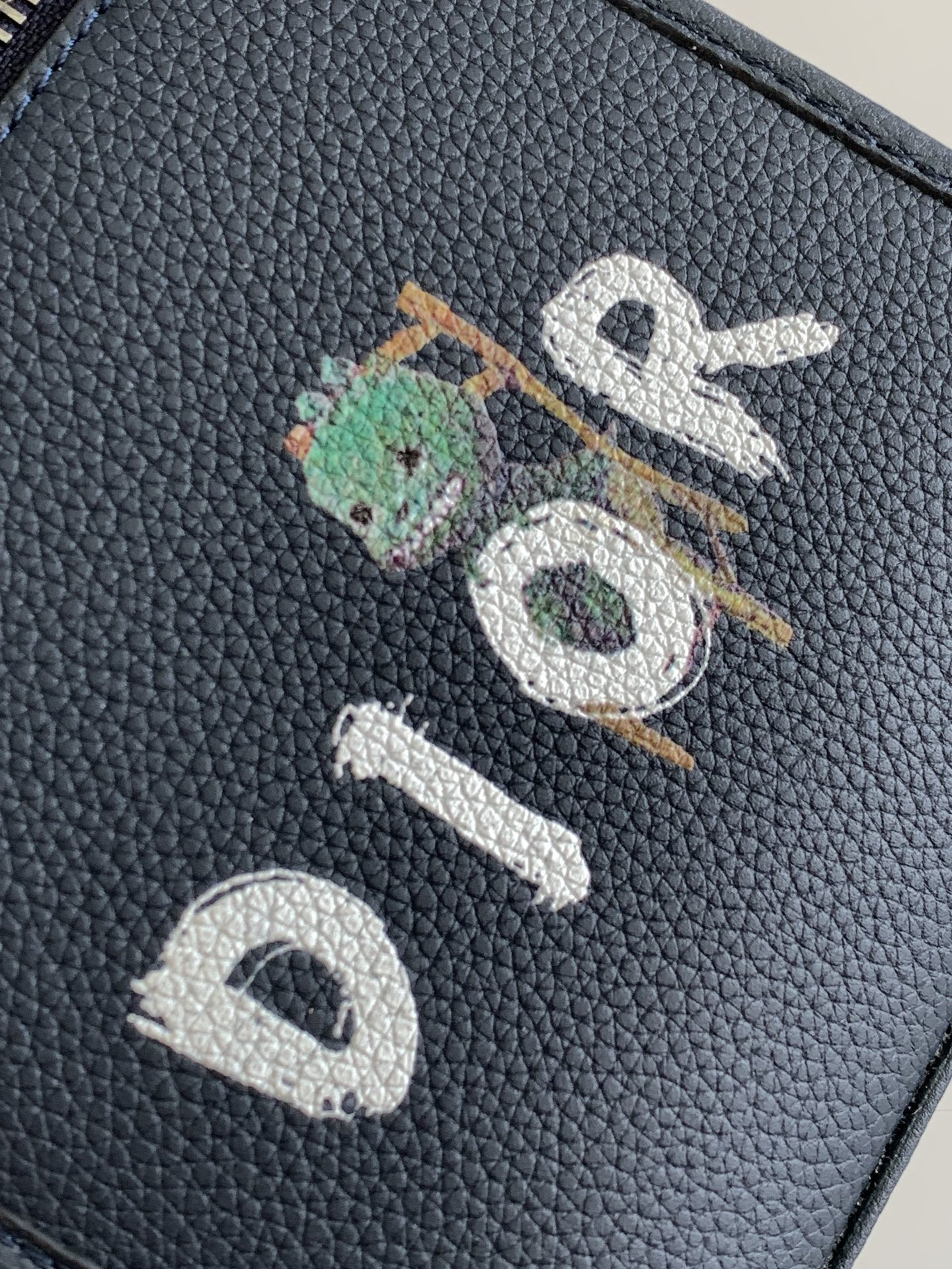 Dior safari north-south 14 x 19 x 6.5 cm