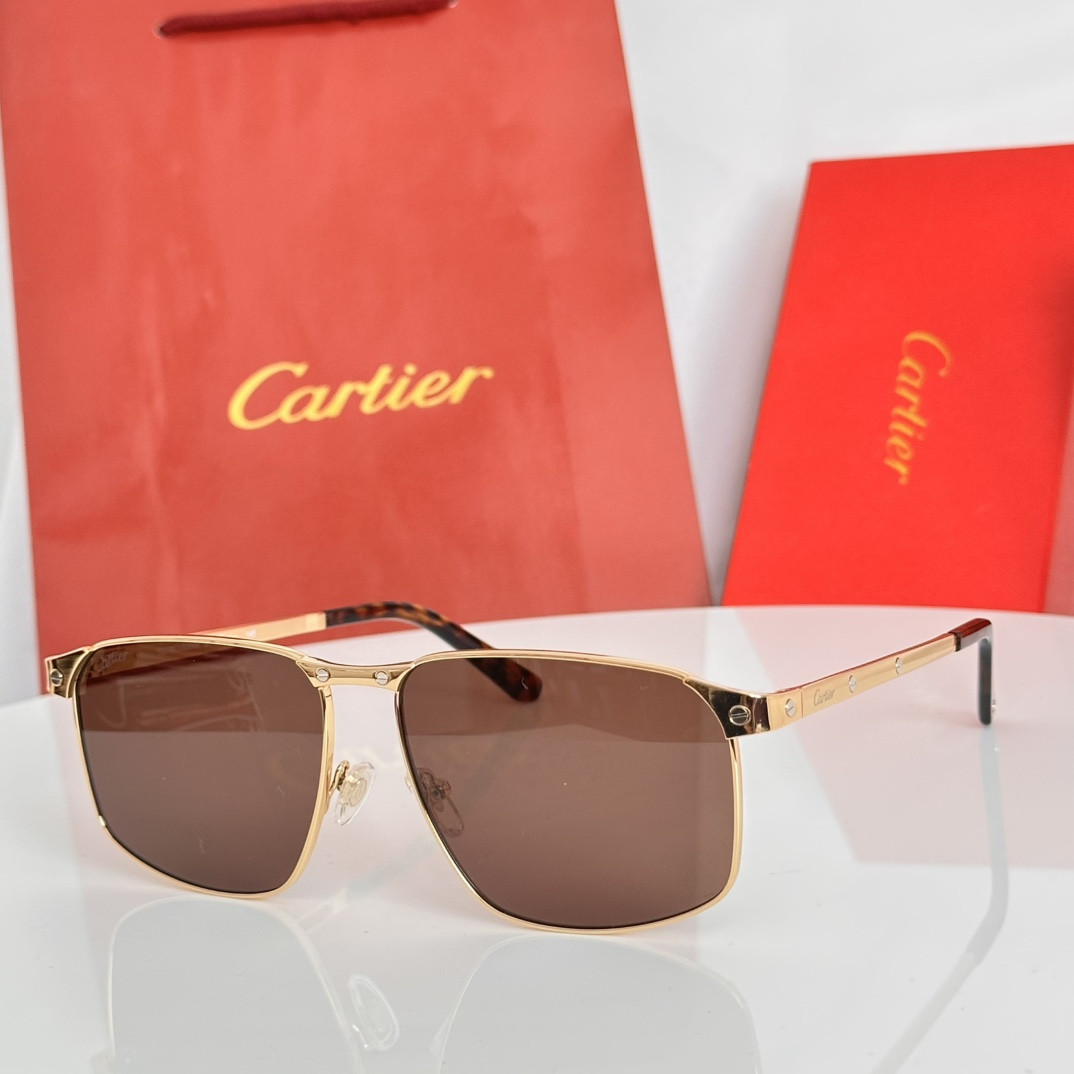 Ca*t1er glasses ct0322s 145