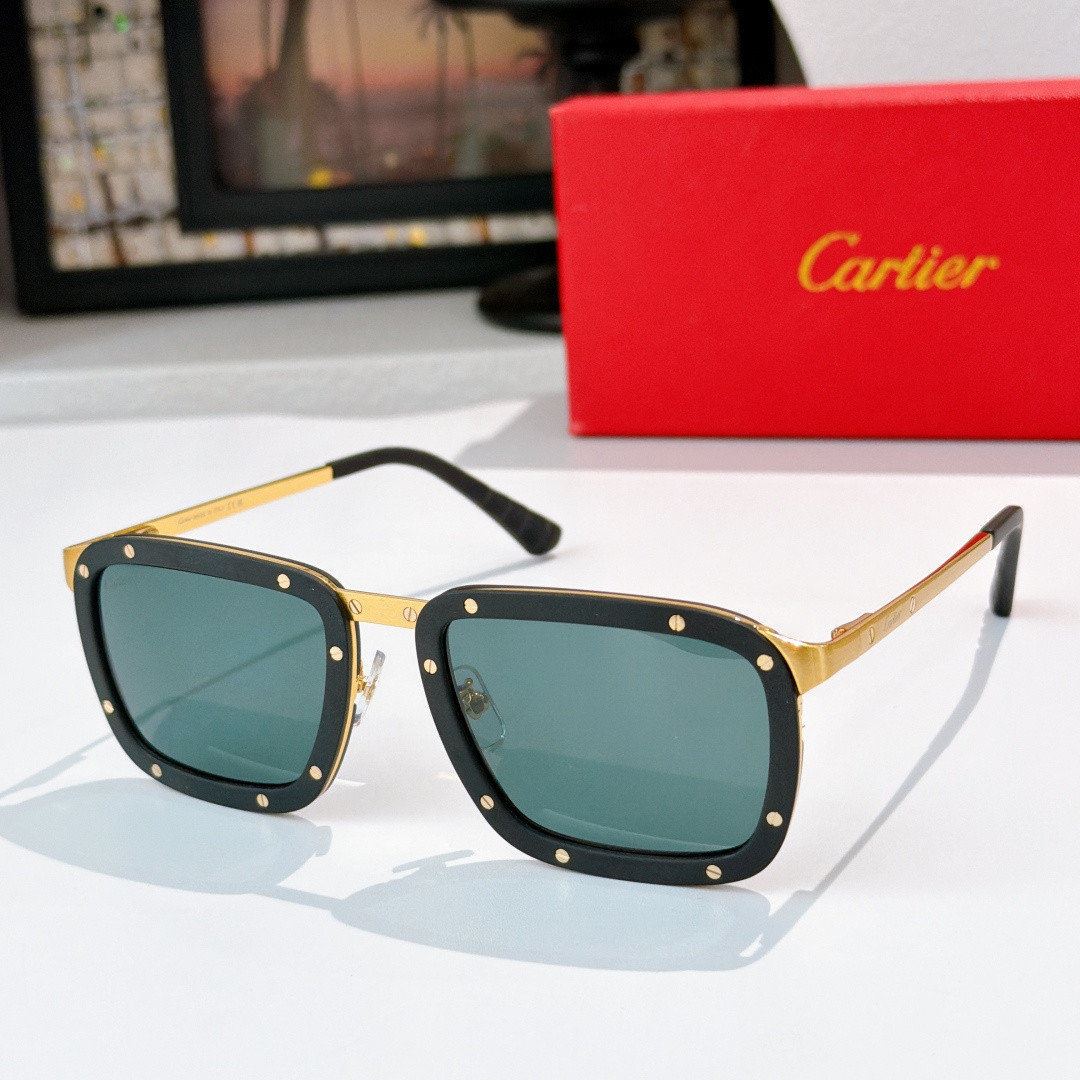 Ca*t1er glasses ct0577s 56-22-145