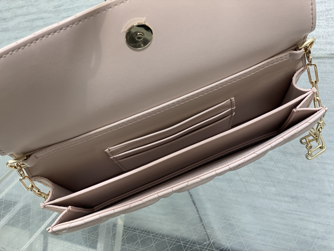 my D10r mini bag 21x11.5x4.5cm